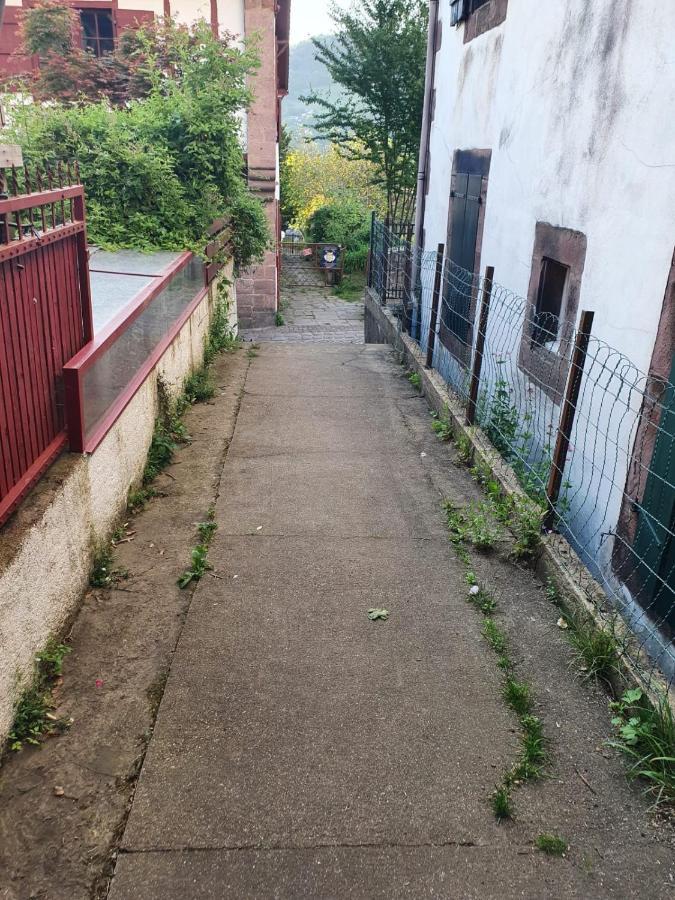 Maison Au Coeur De La Rue Pietonne Saint-Jean-Pied-de-Port Kültér fotó